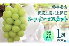 特等選抜 シャインマスカット（ 約700g ／ 糖度21度以上保証 ）【限定20セット】 桜川市産 弓削ぶどう園 ぶどう 葡萄 果物 フルーツ 産地直送 数量限定 [AC005sa]