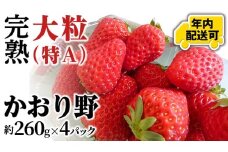 【12/17までの申込で年内にお届け！】 完熟 かおり野 約260g×4パック 年内お届け 国産 いちご イチゴ 苺 [BC082sa]