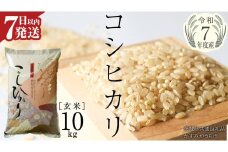 【 令和7年産 】 コシヒカリ 玄米 10kg ( 10kg × 1袋 ) (茨城県共通返礼品 かすみがうら市) 最短7営業日以内発送 新米 米 ごはん もっちり 甘い コメ お米 玄米 銘柄米 [EX012sa]