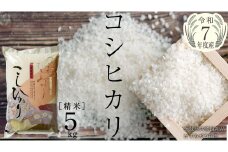  ＼ 10月出荷 新米／【令和7年産】コシヒカリ 精米5kg（5kg×1袋）（茨城県共通返礼品 かすみがうら市産） [EX010sa-10]
