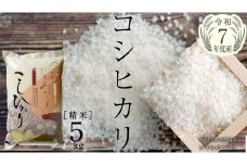 ＼ 1月出荷 ／【令和7年産】コシヒカリ 精米5kg（5kg×1袋）（茨城県共通返礼品 かすみがうら市産） [EX010sa-01]