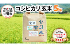 令和6年産 桜川市の 厳選 甘引米 コシヒカリ 玄米 5kg 特別栽培米 コシヒカリ こしひかり 玄米 米 こめ コメ 有機肥料 桜川市産 茨城県 いばらき [BA003sa]