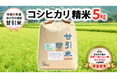 令和6年産 桜川市の 厳選甘引米 コシヒカリ 精米 5kg  桜川市産 コシヒカリ こしひかり 米 こめ コメ 茨城県 いばらき 有機肥料 [BA004sa]