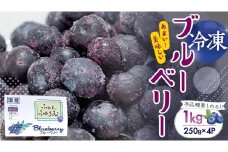 茨城県産 冷凍 ブルーベリー 合計 1kg (250g×4袋)【2025年7月中旬から発送開始】 多品種 果実 果物 くだもの フルーツ おやつ ブルーベリー ベリー ジャム 小分け [DZ018sa]