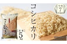 ＼ 新米10月出荷 ／【令和7年産】コシヒカリ 玄米5kg（5kg×1袋）（茨城県共通返礼品 かすみがうら市産） [EX011sa-10]