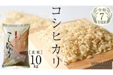 ＼ 新米11月出荷 ／【令和7年産】コシヒカリ 玄米10kg（10kg×1袋）（茨城県共通返礼品 かすみがうら市産） [EX012sa-11]