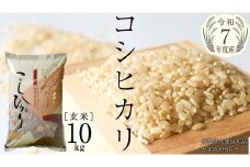＼ 2月出荷 ／【令和7年産】コシヒカリ 玄米10kg（10kg×1袋）（茨城県共通返礼品 かすみがうら市産） [EX012sa-02]