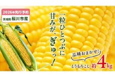 【2026年先行予約】桜川市産 とうもろこし 品種おまかせ 約4kg おおもの ゴールドラッシュ おひさまコーン  [FJ001sa]