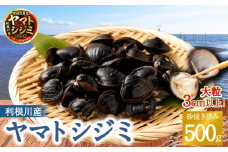BN-6 神栖の黒宝　漁業者からお届け！利根川産 ヤマトシジミ 500g 貝 しじみ シジミ 蜆 砂抜き