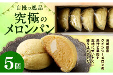 自慢の逸品！ 究極のメロンパン ５個入×１箱 メロンパン 菓子パン パン