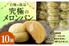 自慢の逸品！ 究極のメロンパン 10個入×1箱 メロンパン 菓子パン パン
