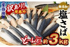 【訳あり規格外】  業務用 無添加 塩さば  どーんと!3kg 鯖 さば 塩サバ 干物 魚