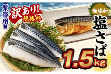【訳あり規格外】 業務用無添加塩さば 1.5kg 鯖 さば 塩サバ 干物 魚