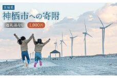 【1,000円】神栖市への寄附 (返礼品はありません)