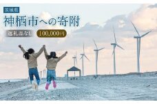 【100,000円】神栖市への寄附 (返礼品はありません)
