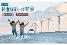 【500,000円】神栖市への寄附 (返礼品はありません)