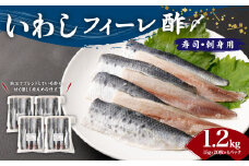 いわし フィーレ酢 〆寿司・刺身用 約1.2kg (15g×20枚×4パック) 鰯 イワシ