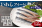 いわし フィーレ酢 〆寿司・刺身用 約1.2kg
