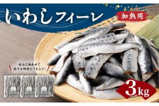 いわし フィーレ 加熱用 約3kg 鰯 イワシ