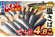 【訳あり規格外】  業務用 無添加 塩さば どーんと! 4.8kg 鯖 さば 塩サバ 干物 魚