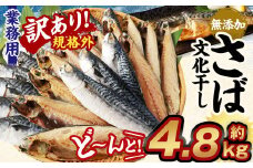 【訳あり規格外】  業務用 無添加 さば文化干し どーんと! 4.8kg 鯖 さば 干物 魚