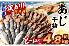 【訳あり規格外】  業務用 あじ 干物 どーんと！ 4.8kg アジ 鯵 魚
