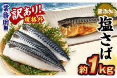 【訳あり規格外】 業務用 無添加 塩さば 1kg 鯖 さば 塩サバ 干物 魚