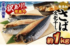 【訳あり規格外】 業務用 無添加 さば文化干し 1kg 鯖 さば 干物 魚