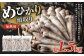 めひかり 頭取り 加熱用 約500g×3袋
