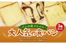 AU-11 パンの店イシバシ 大人気の食パン3種セット 3斤 食パン パン