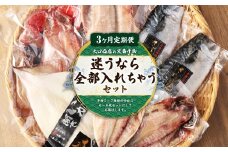 【3ヵ月定期便】迷うなら全部入れちゃう干物セット