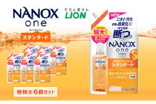 NANOXoneスタンダード替特大セット（替特大6個）