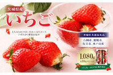 【2024年1月上旬より発送開始】茨城県産いちご【とちおとめ・やよいひめ・いばらキッスいずれか1種類お届け】合計約1080g（茨城県共通返礼品・石岡市、鹿嶋市、行方市、水戸市産）