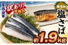 訳あり規格外 業務用無添加塩さば 1.9kg