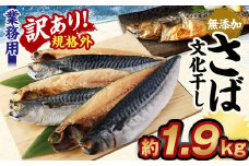 訳あり規格外 業務用無添加さば文化干し 1.9kg