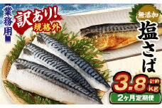 【2ヶ月定期便】【訳あり規格外】 業務用 無添加塩さば 1.9kg