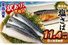 【6ヶ月定期便】【訳あり規格外】 業務用 無添加塩さば 1.9kg