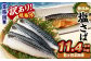 【6ヶ月定期便】【訳あり規格外】 業務用 無添加塩さば 1.9kg