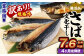 【4ヶ月定期便】【訳あり規格外】 業務用 無添加さば 文化干し 1.9kg