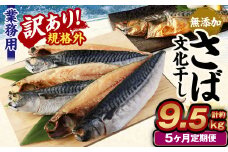 【5ヶ月定期便】【訳あり規格外】 業務用 無添加さば 文化干し 1.9kg
