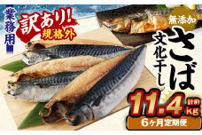 【6ヶ月定期便】【訳あり規格外】 業務用 無添加さば 文化干し 1.9kg