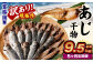 【5ヶ月定期便】【訳あり規格外】 業務用 あじ干物 1.9kg