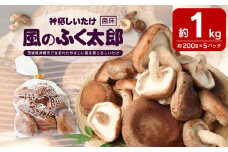 神栖市しいたけ「風のふく太郎」 約1kg 椎茸 しいたけ キノコ 野菜 肉厚 
