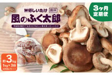 【3ヶ月定期便】神栖市しいたけ「風のふく太郎」 約1kg 椎茸 しいたけ キノコ 野菜 肉厚 