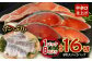 【北海道産原材料使用】中辛口秋鮭切身16切 合計約0.96kg