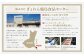 【北海道産原材料使用】 骨取り 秋鮭切身 16切 合計約800g