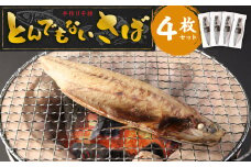 とんでもない鯖 4枚セット