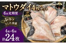 【6ヶ月定期便】マトウダイ 4枚セット×6回 合計24枚
