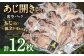 あじ開き 12枚セット