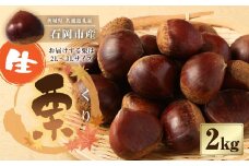 生栗2kg (茨城県共通返礼品 石岡市産) 【2024年9月下旬～10月下旬発送予定】 栗 くり 甘み 栗ご飯 国産